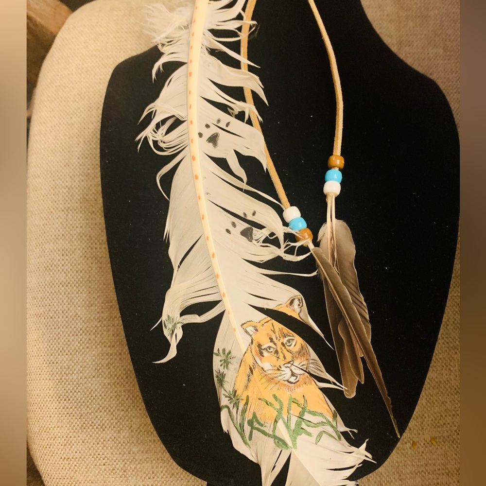 Beautiful Indian Feather